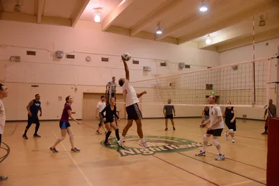 DSC_1887 (Large).JPG